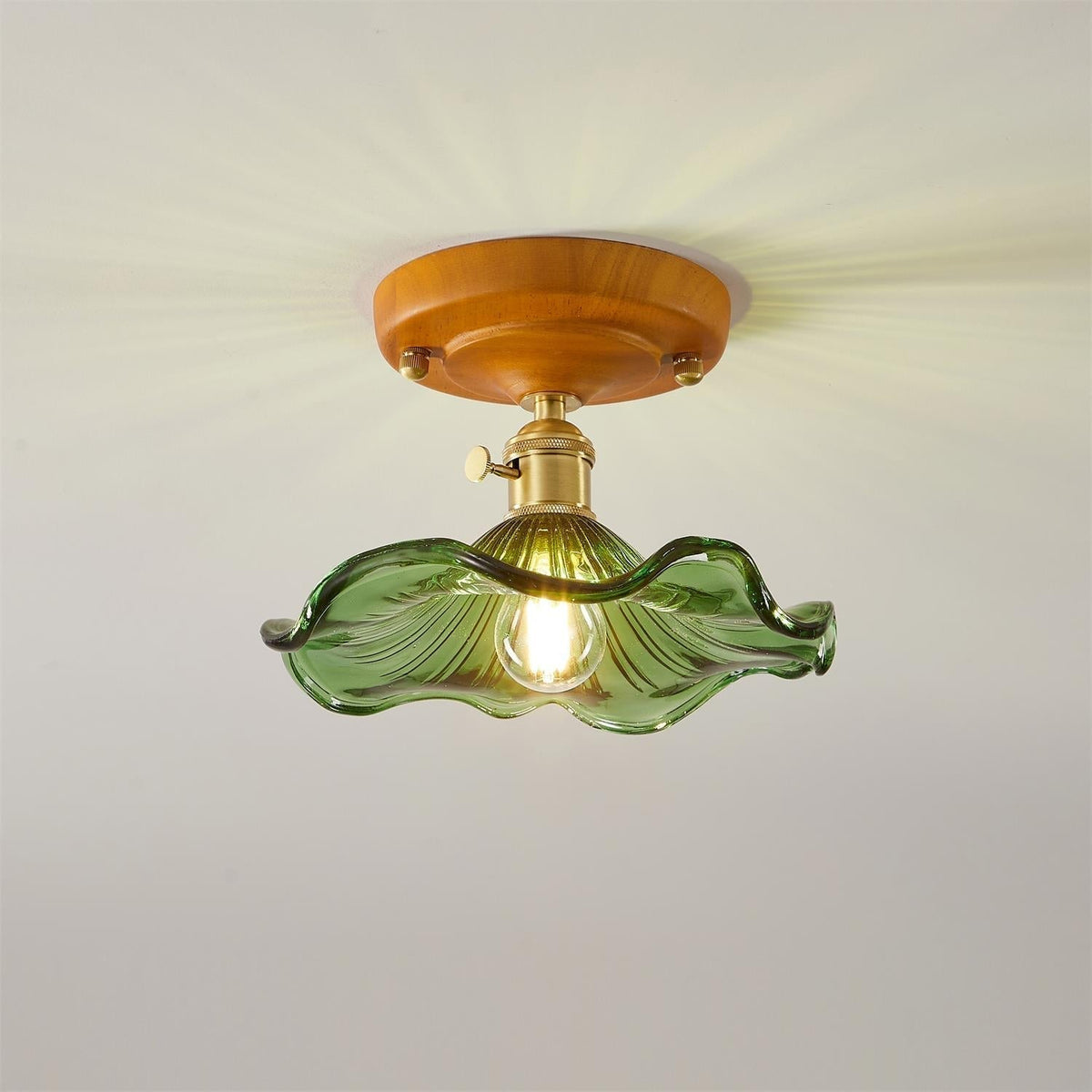 Ceiling Light Wood Canopy Brass & Glass Shade Vintage Floral Farmhouse-Neutral Decor