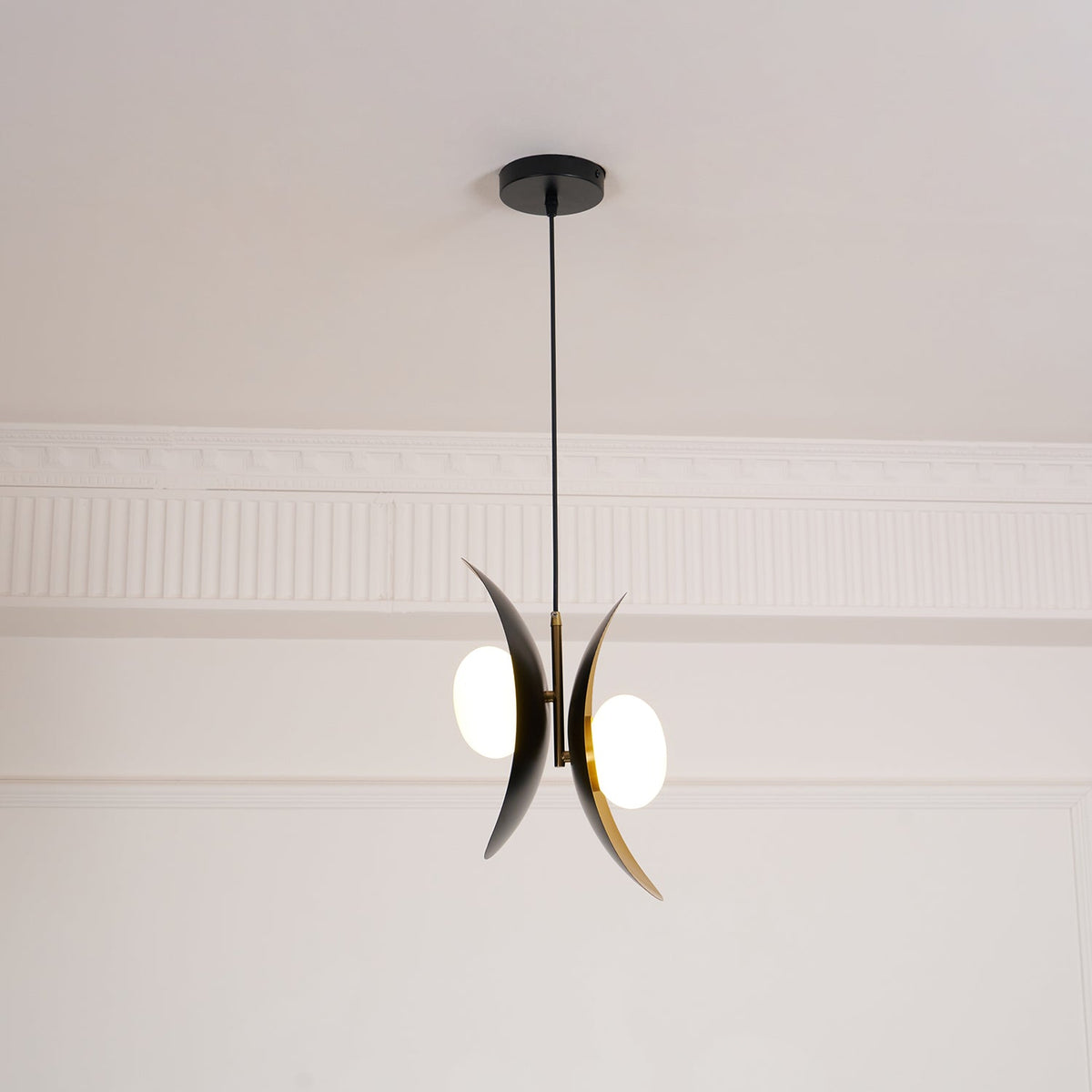 Fioran Suspension Contemporaine
