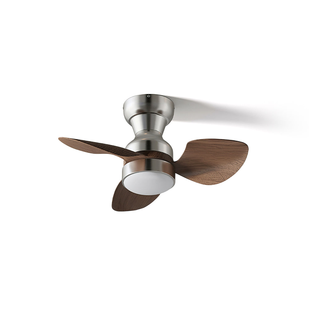 Haiku ceiling fan light in a minimalist living room.