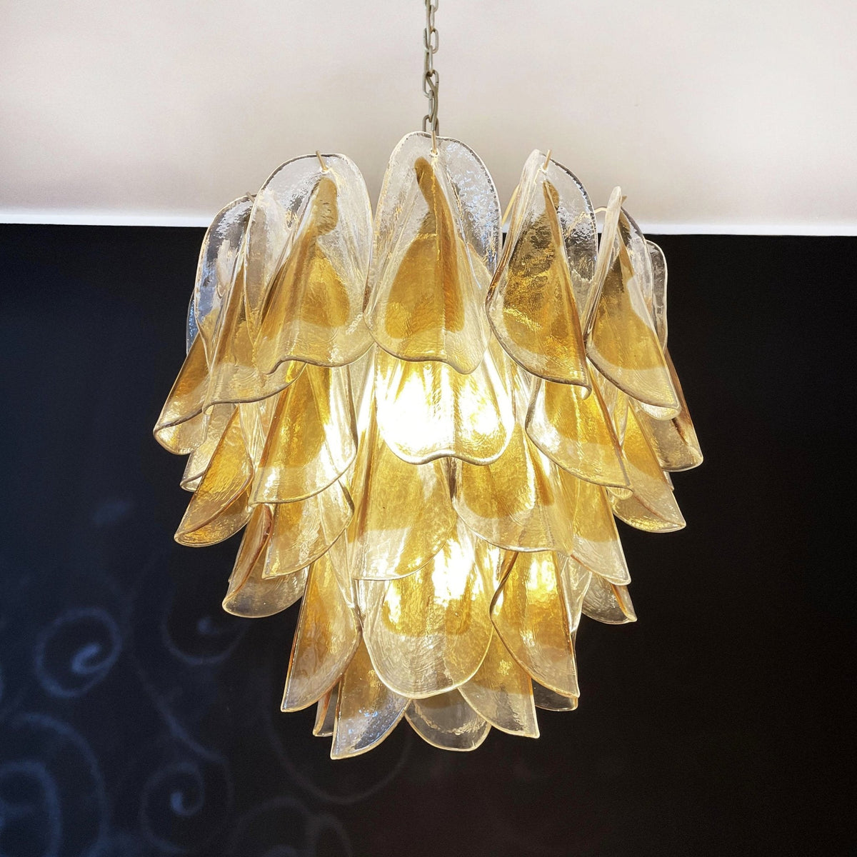 Quinaria Lustre Isabella en Pétales Dorés Superposés