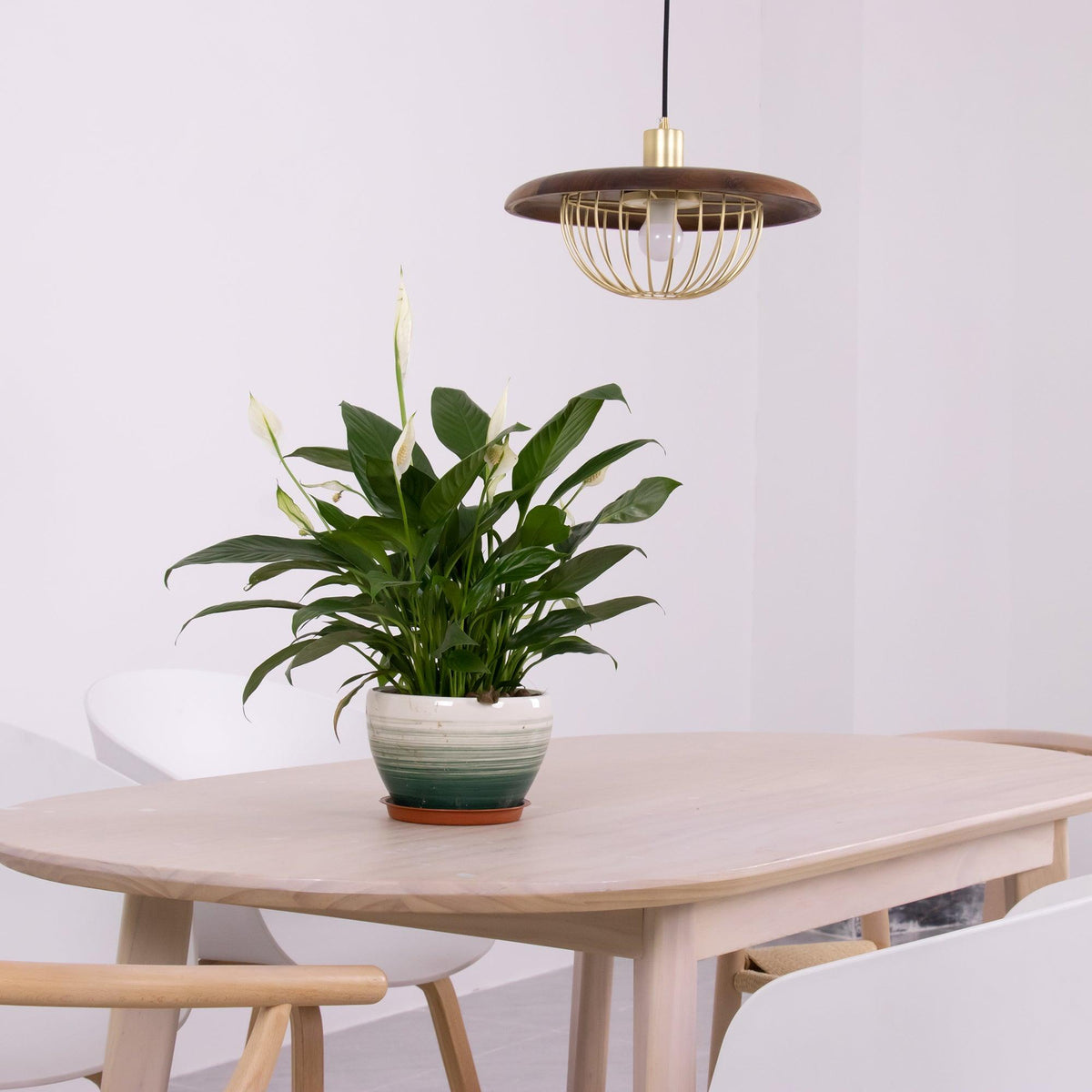 Elanora Suspension Rétro Vintage en Bois