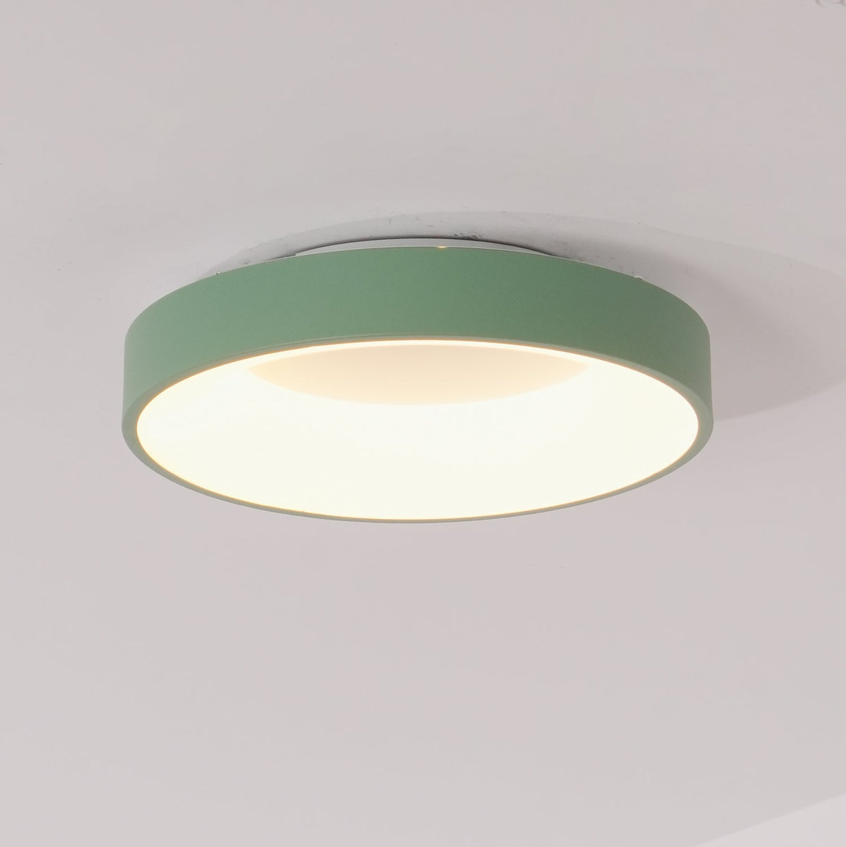 Gaviora Plafonnier en fer contemporain abat-jour vert