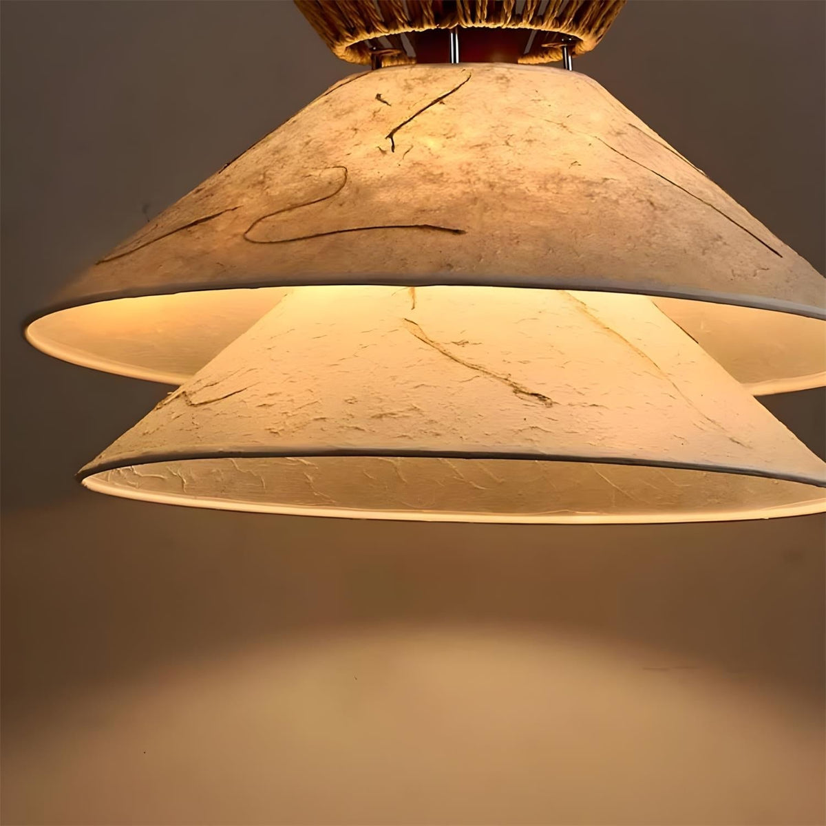 Elaanine Suspension