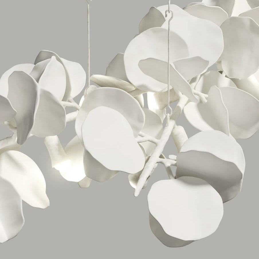 Ciranaya Suspension