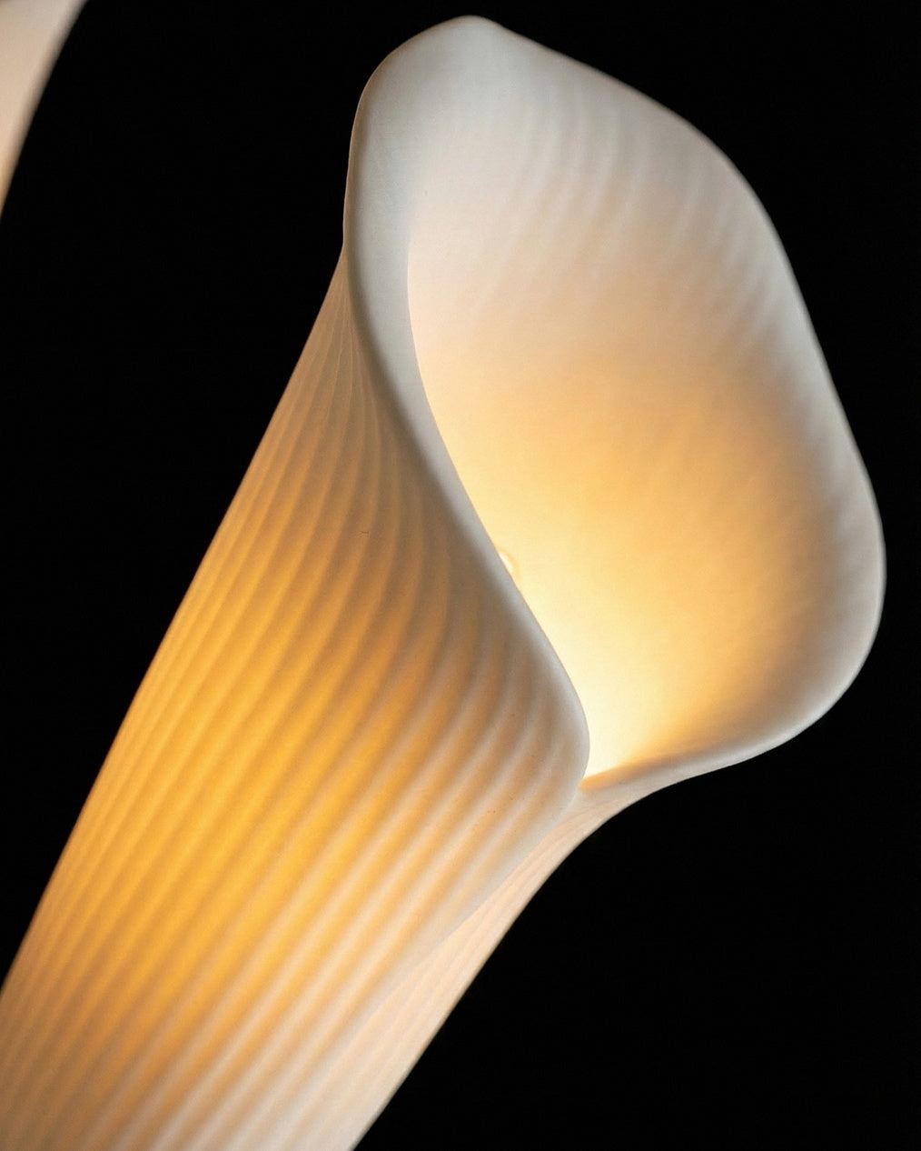 Thara Lampe de Table