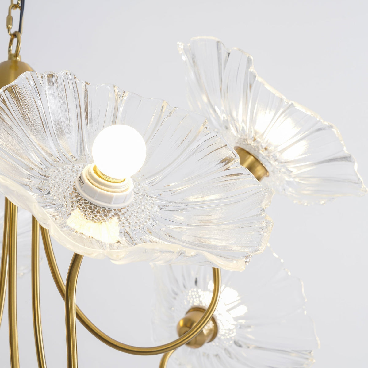 Darelia Lustre Feuille de Lotus en Verre