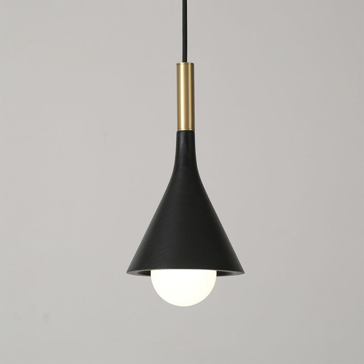 The complete Lucian Pendant Lamp with its hanging wire.