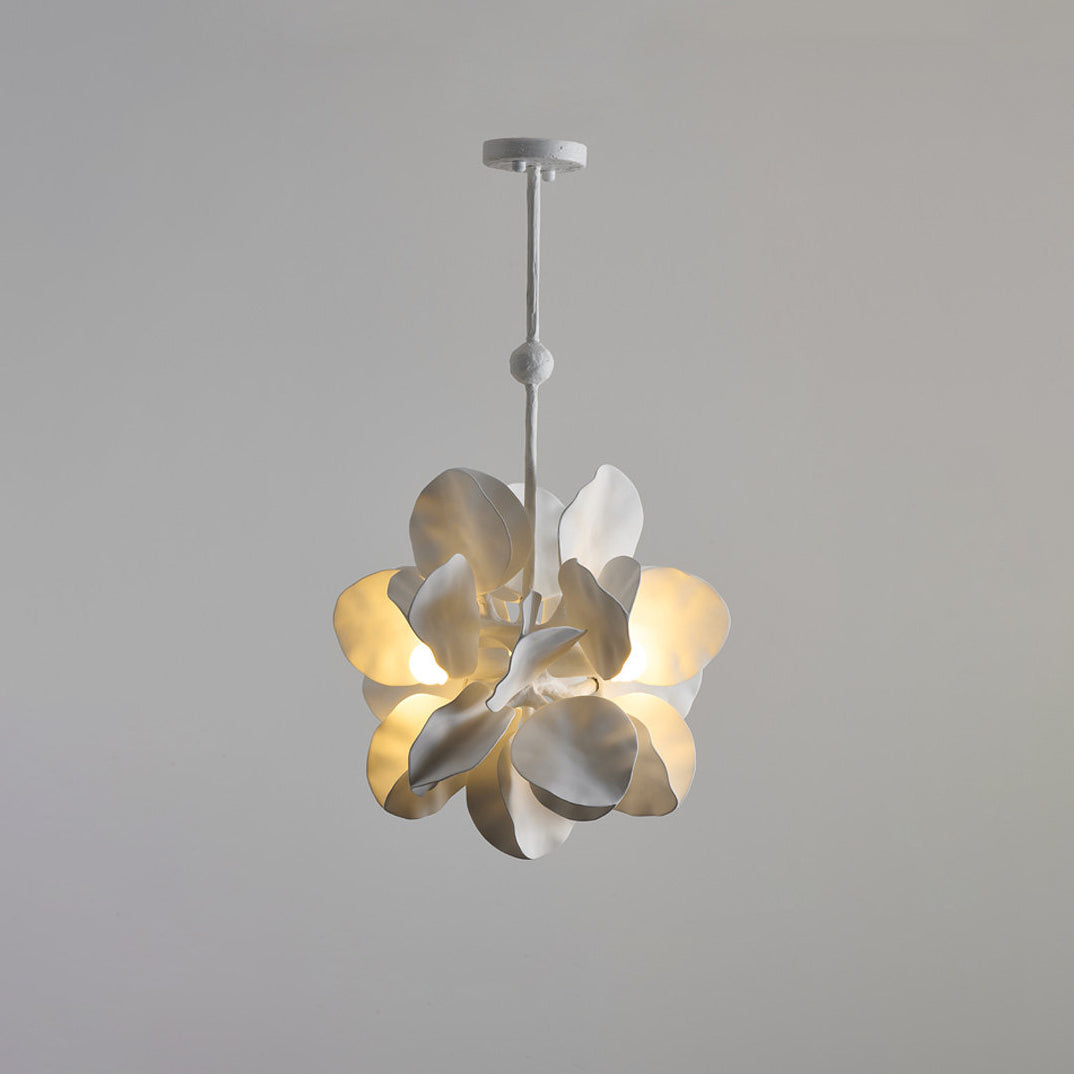 Caleette Suspension