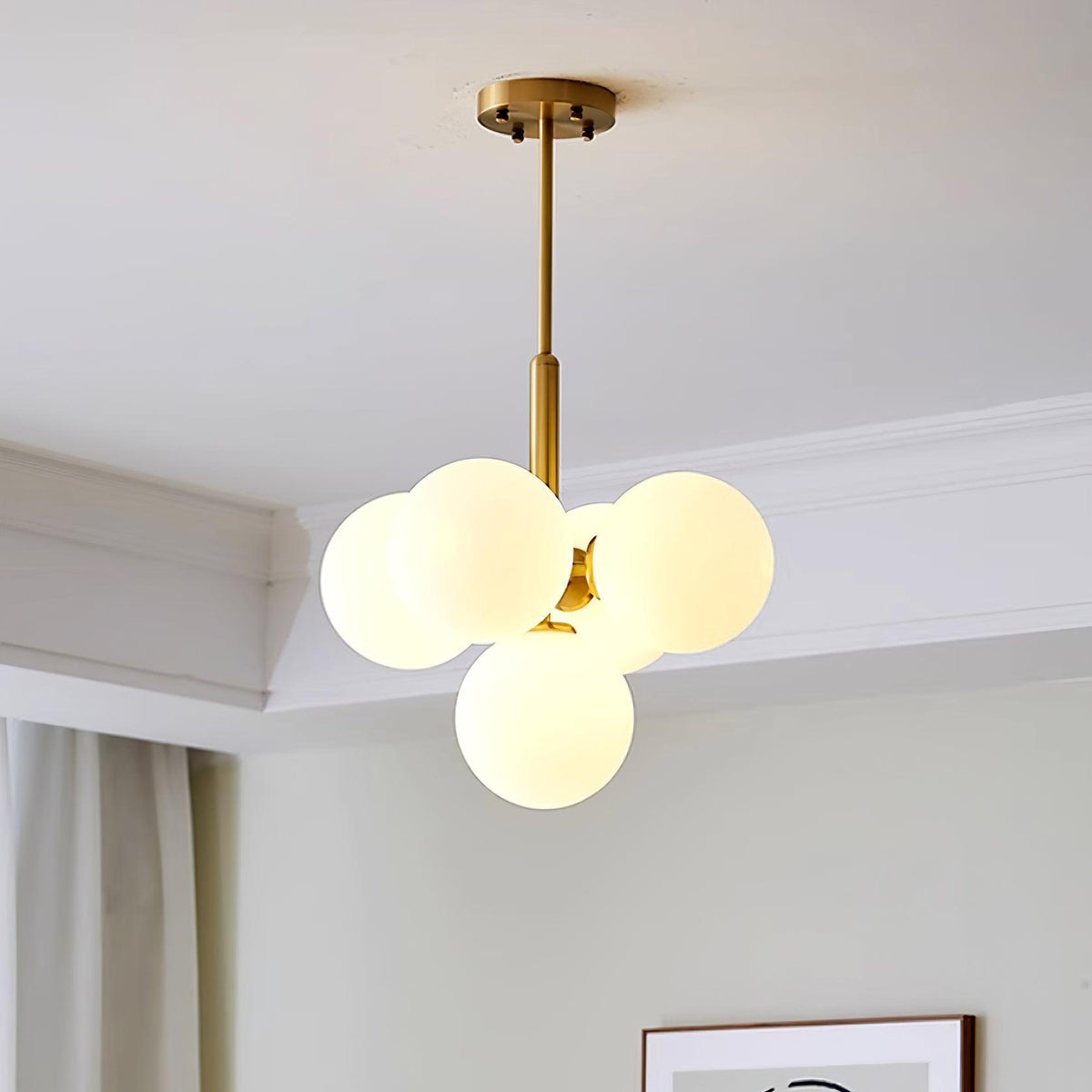 Miruiella Suspension