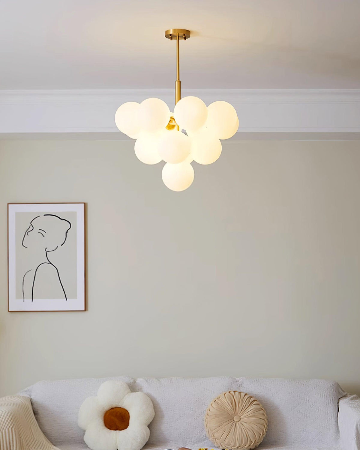 Miruiella Suspension