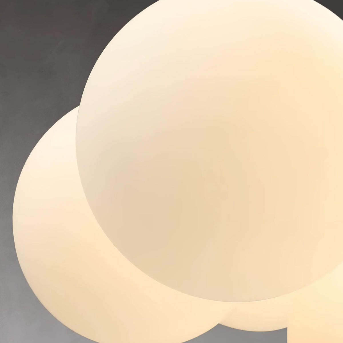 Miruiella Suspension