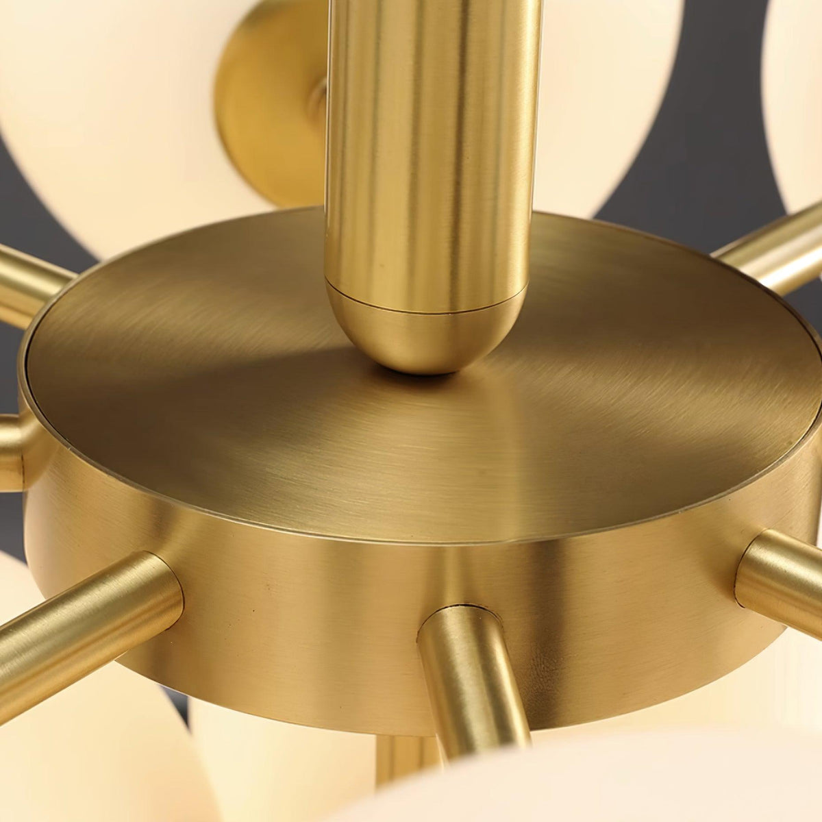 Miruiella Suspension