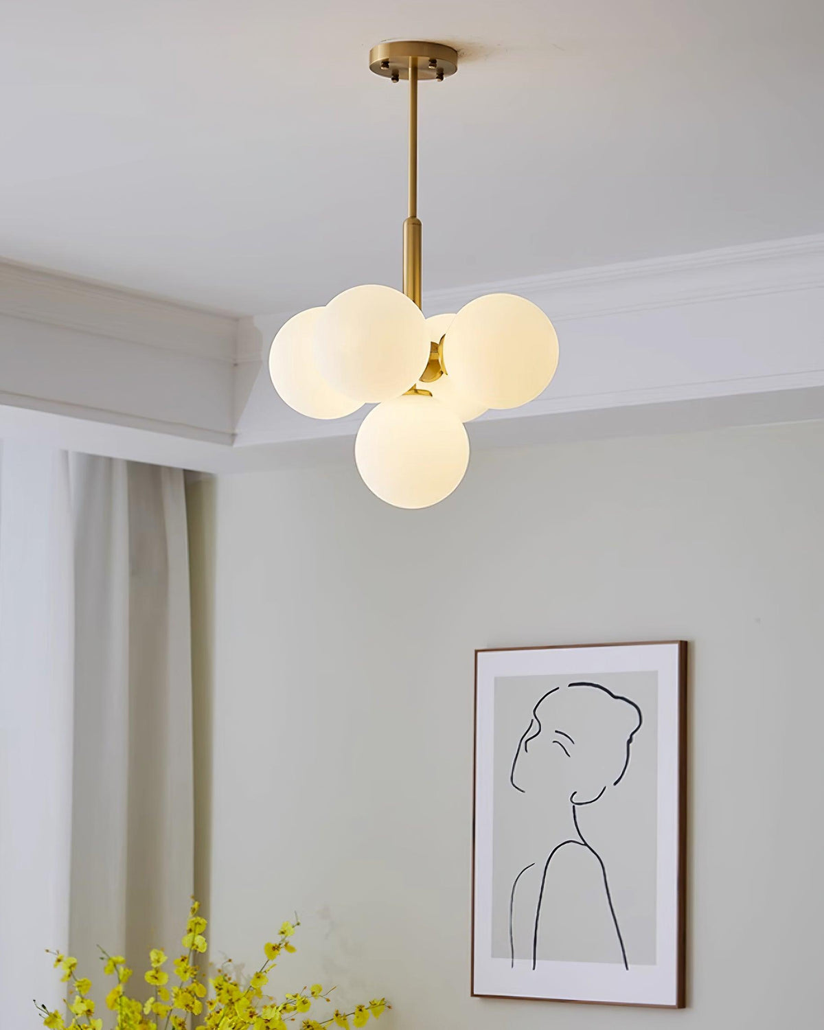 Miruiella Suspension
