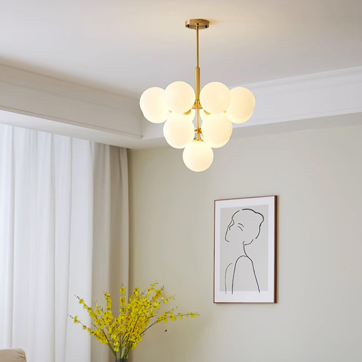 Miruiella Suspension