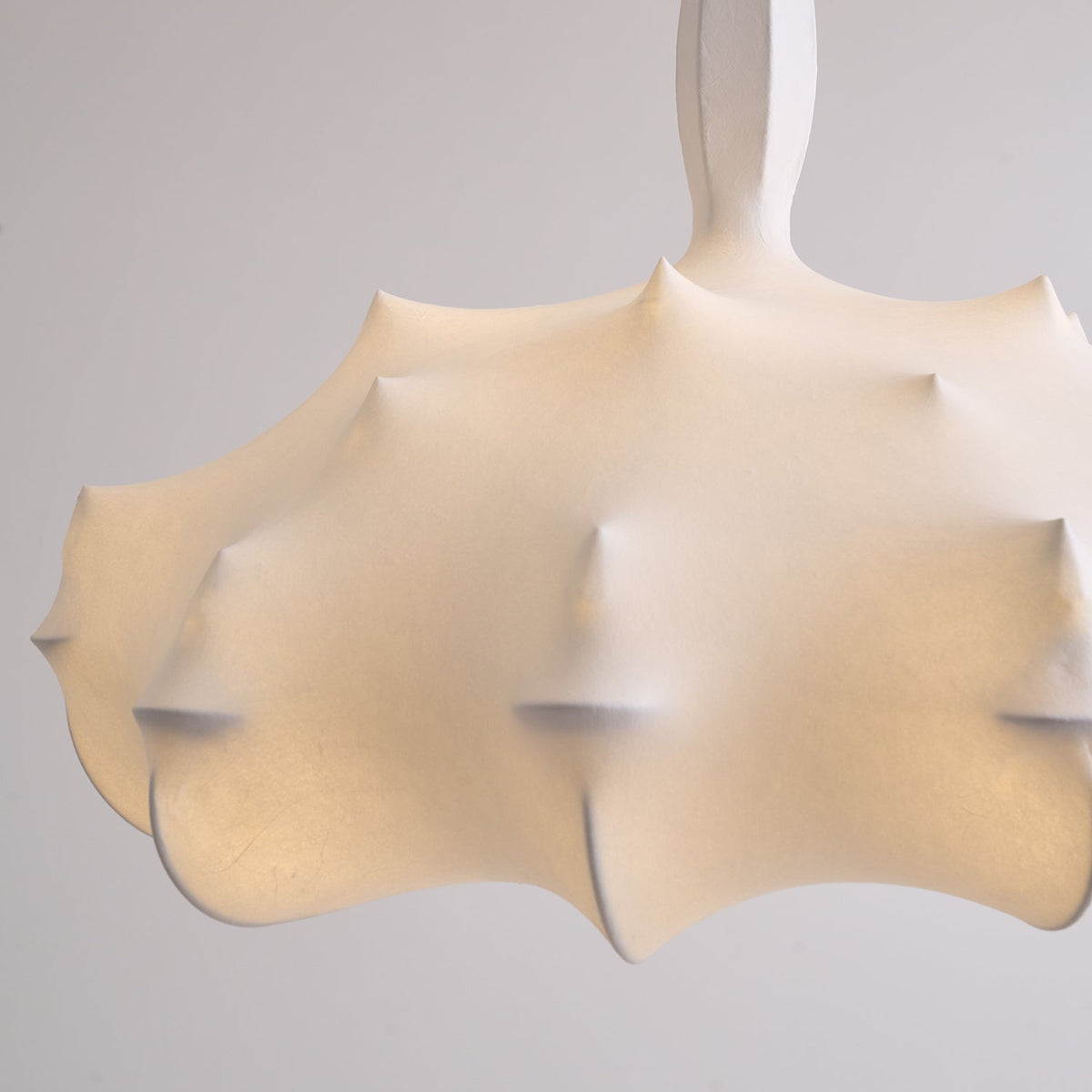 Noralette Suspension
