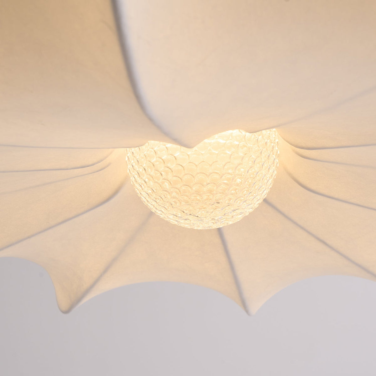 Noralette Suspension