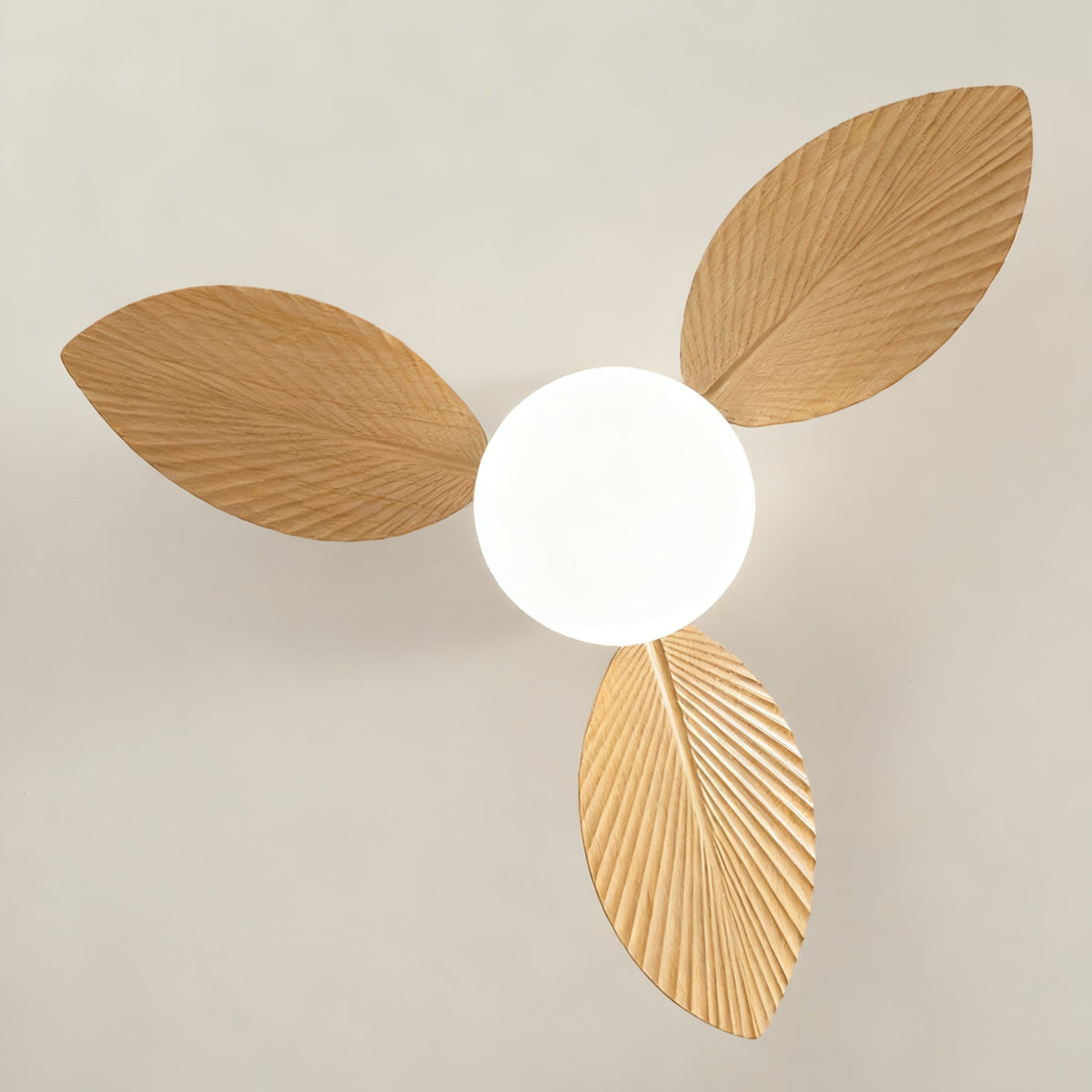 The Melorie fan in walnut finish, complementing wood furniture.