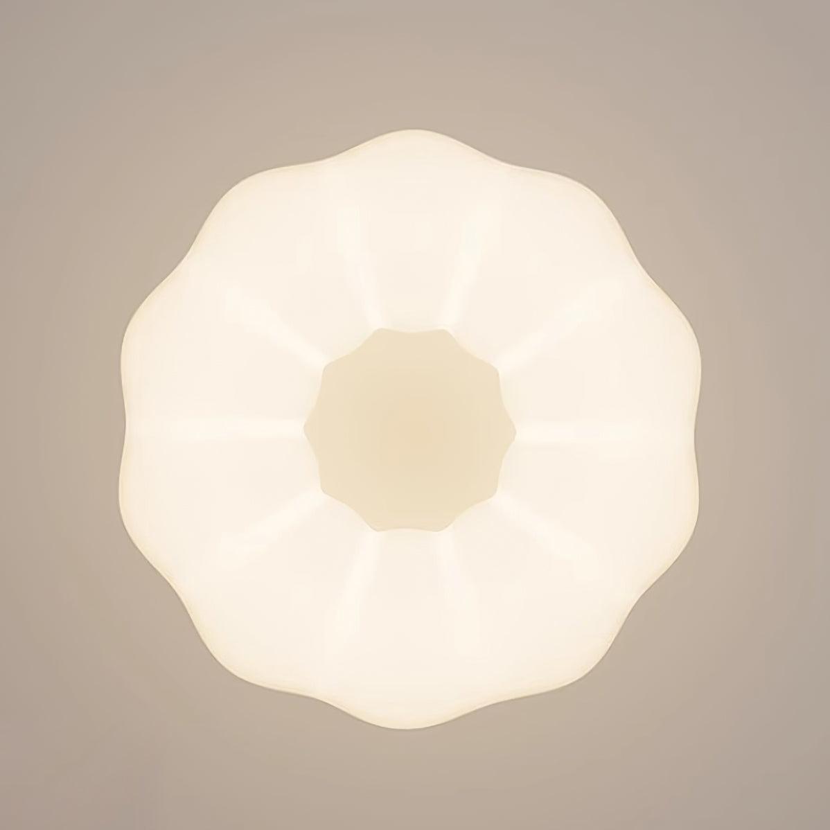Bellania Suspension
