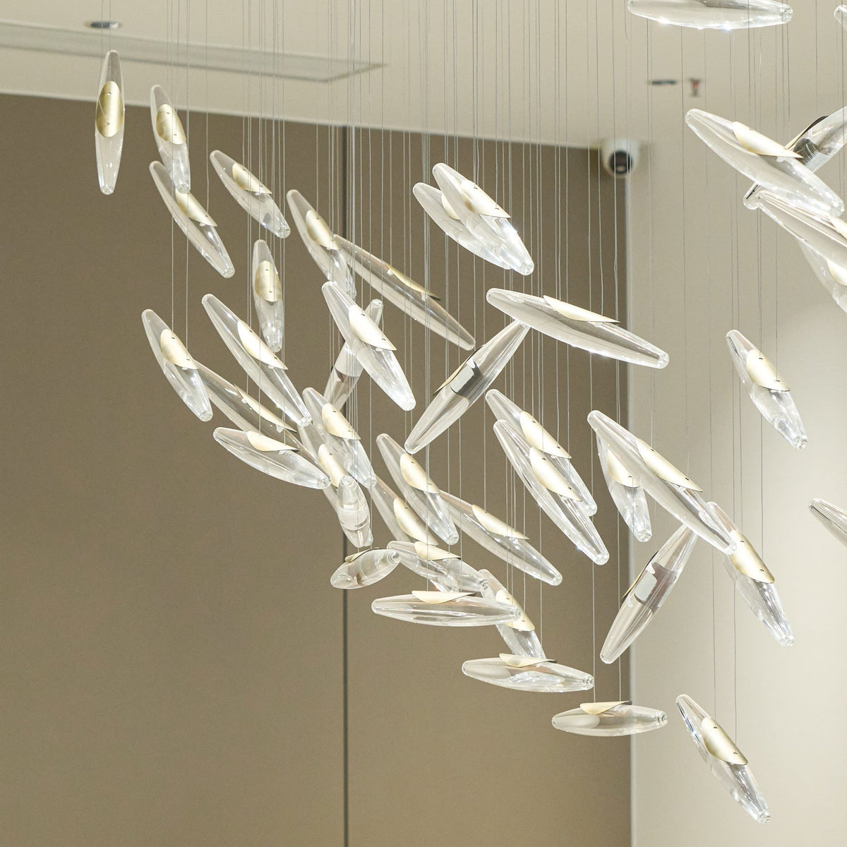 Laurelia Lustre en Verre de Luxe
