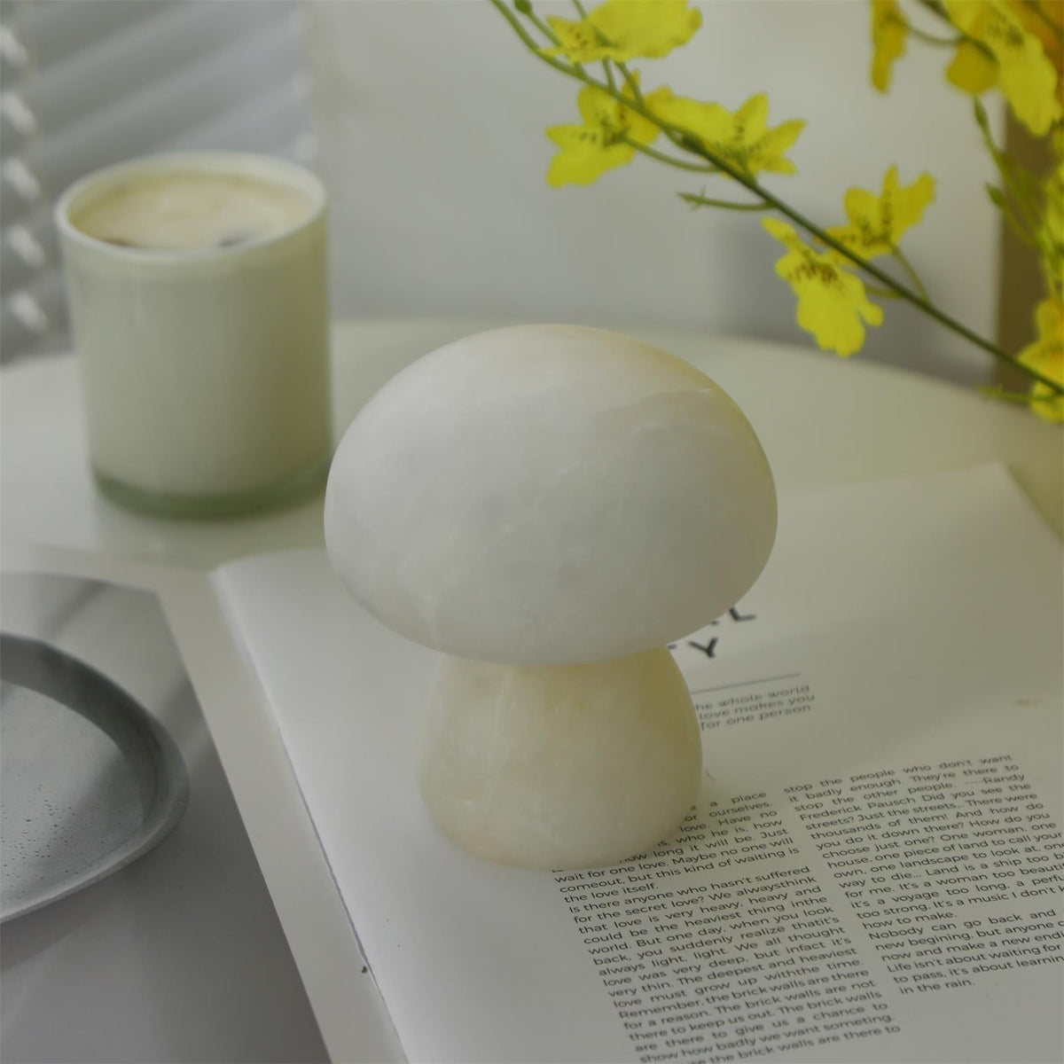 Fungi Lampe de Table (Batterie Intégrée)