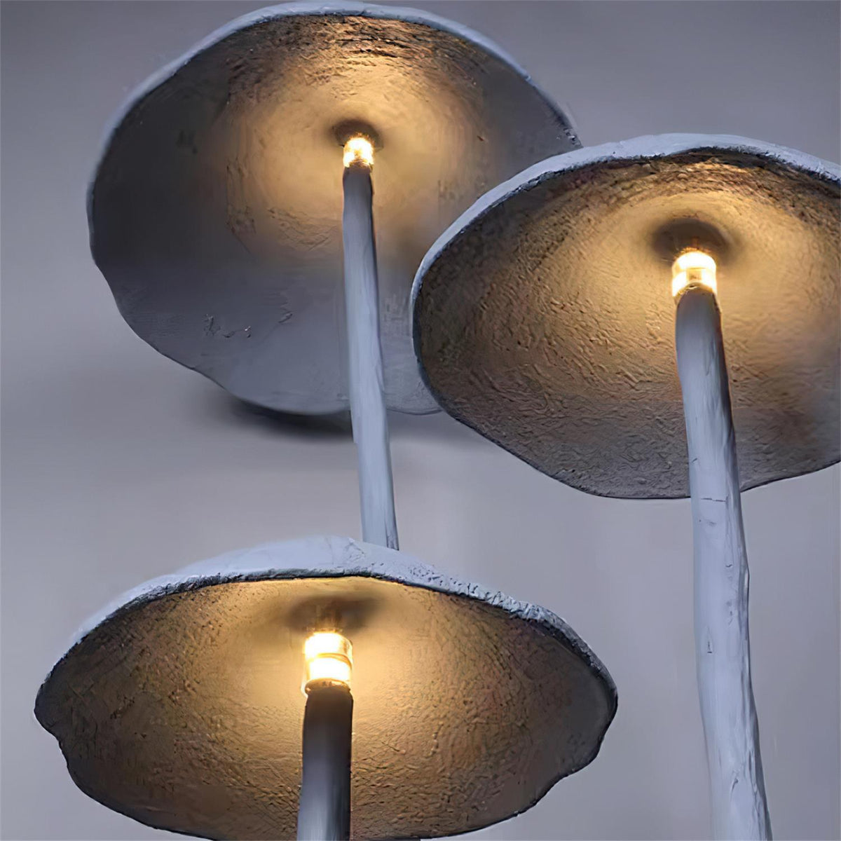 Renuaya Lampadaire