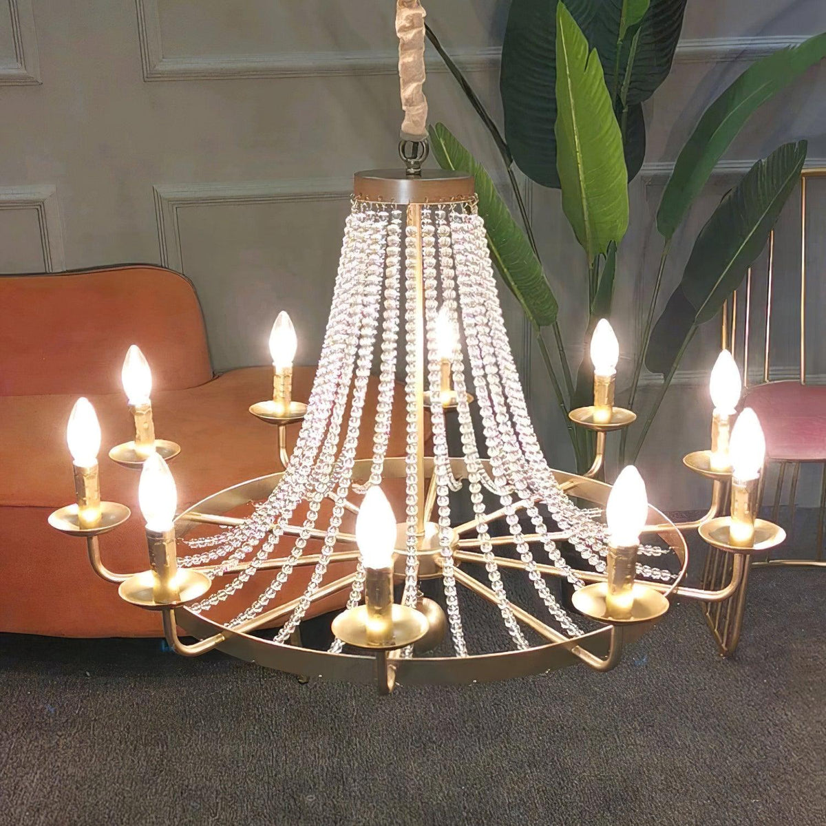 Elainira Lustre