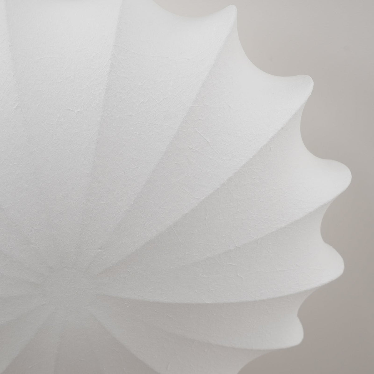 Blan Plafonnier Coquillage Minimaliste