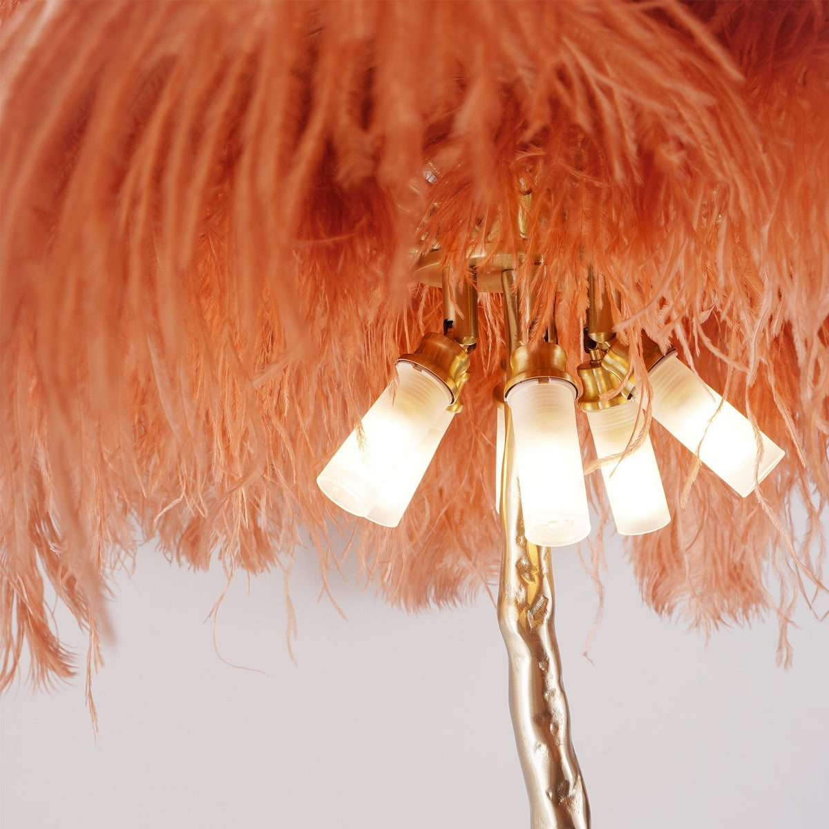 Selis Lampadaire en Laiton avec Plume d'Autruche