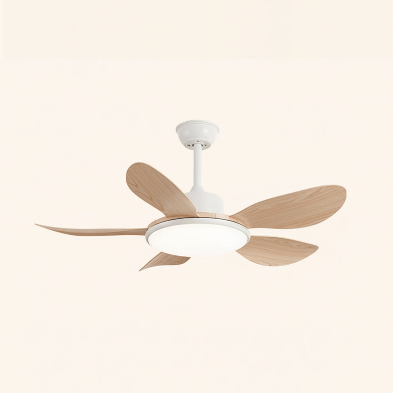 Rivivaine Ventilateur de Plafond avec Éclairage