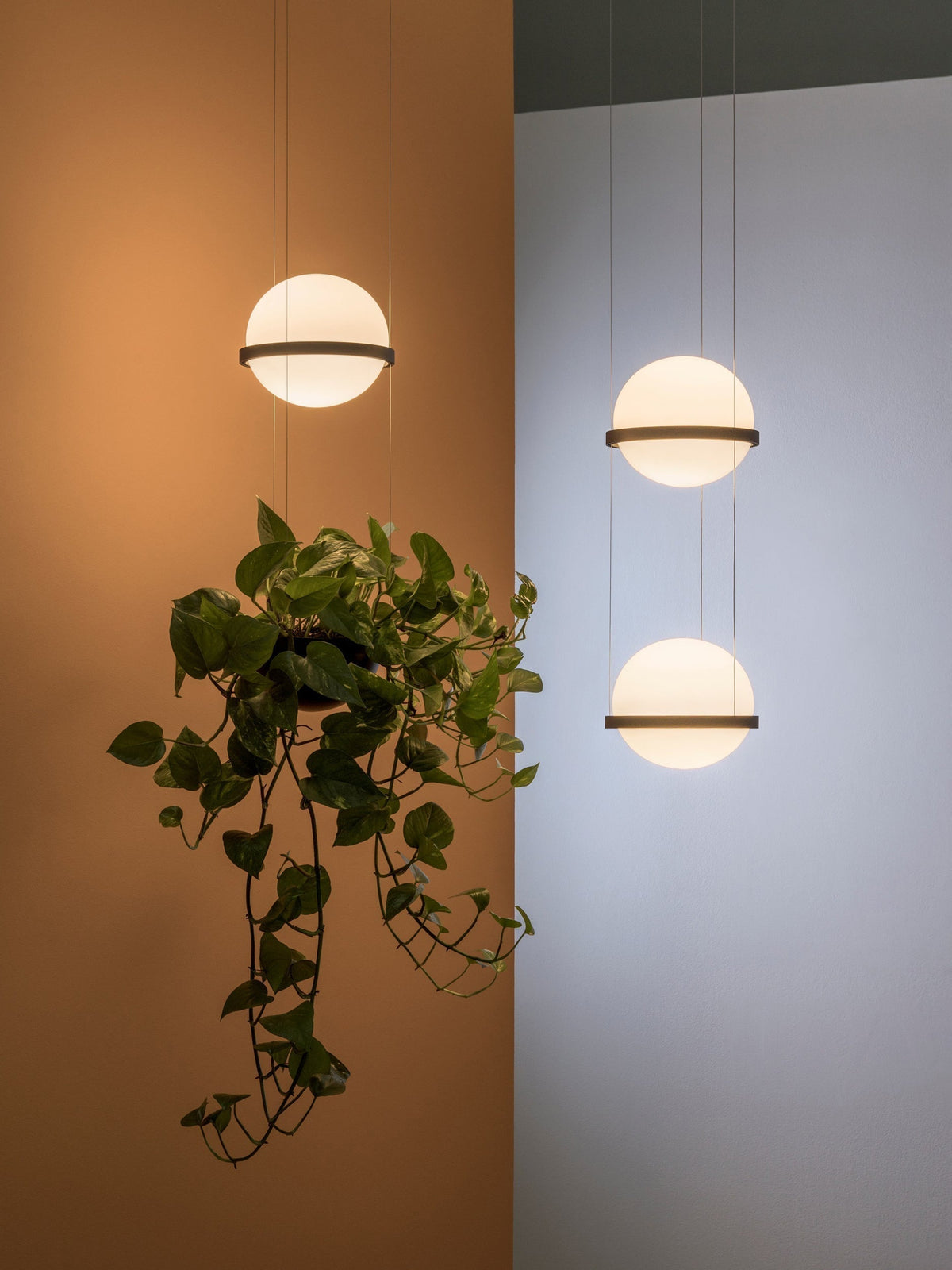 Xenith Suspension Contemporaine en Acrylique