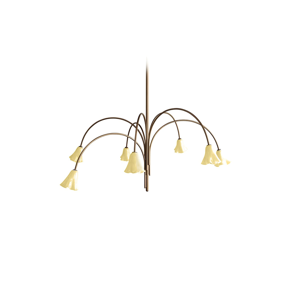 Belina Lustre Floraison Pétale Verre Bras