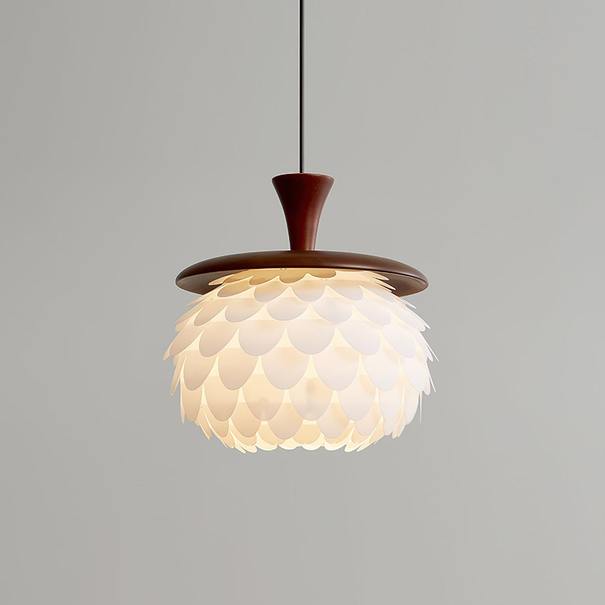 Ardella Suspension