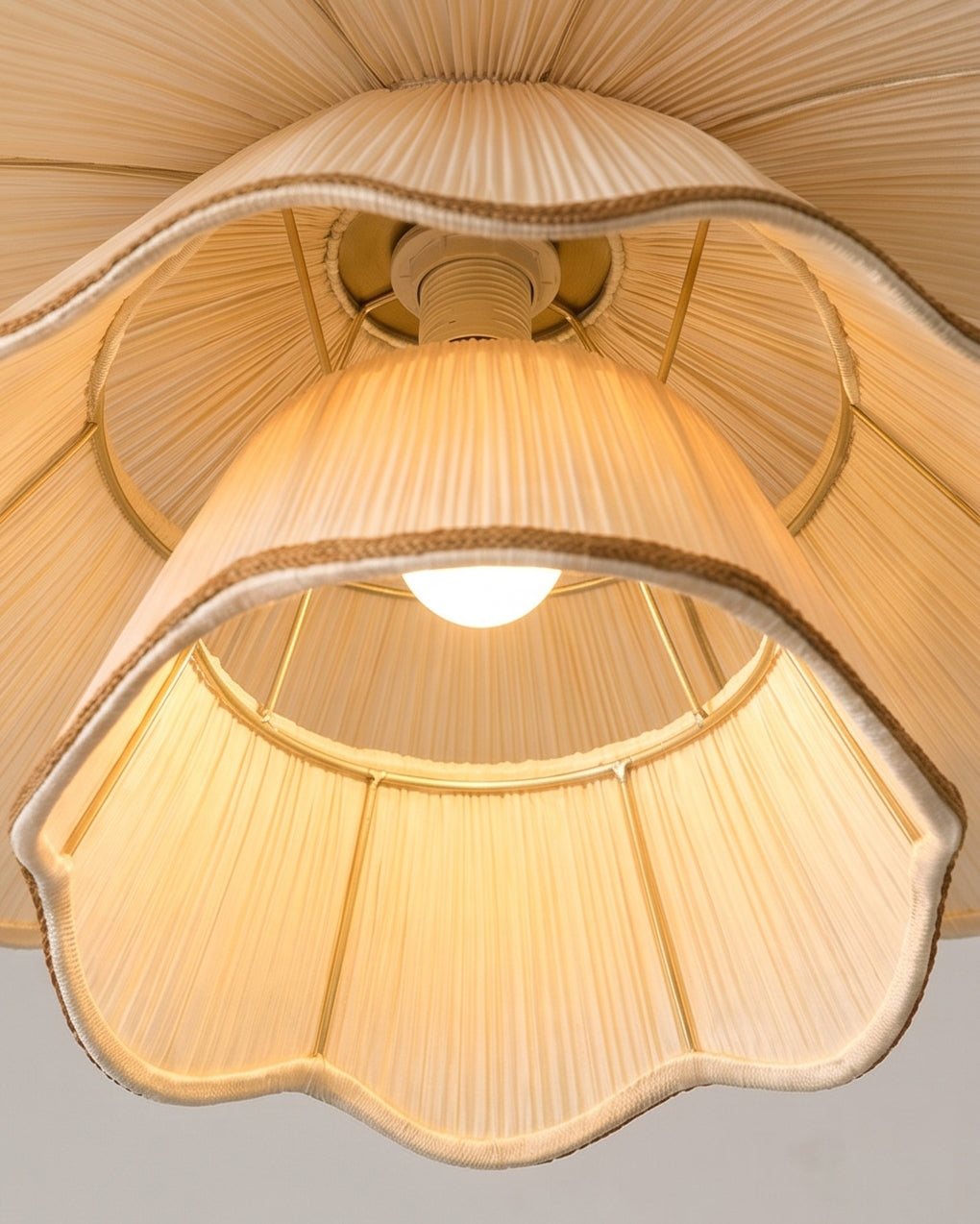 Ciroaya Suspension