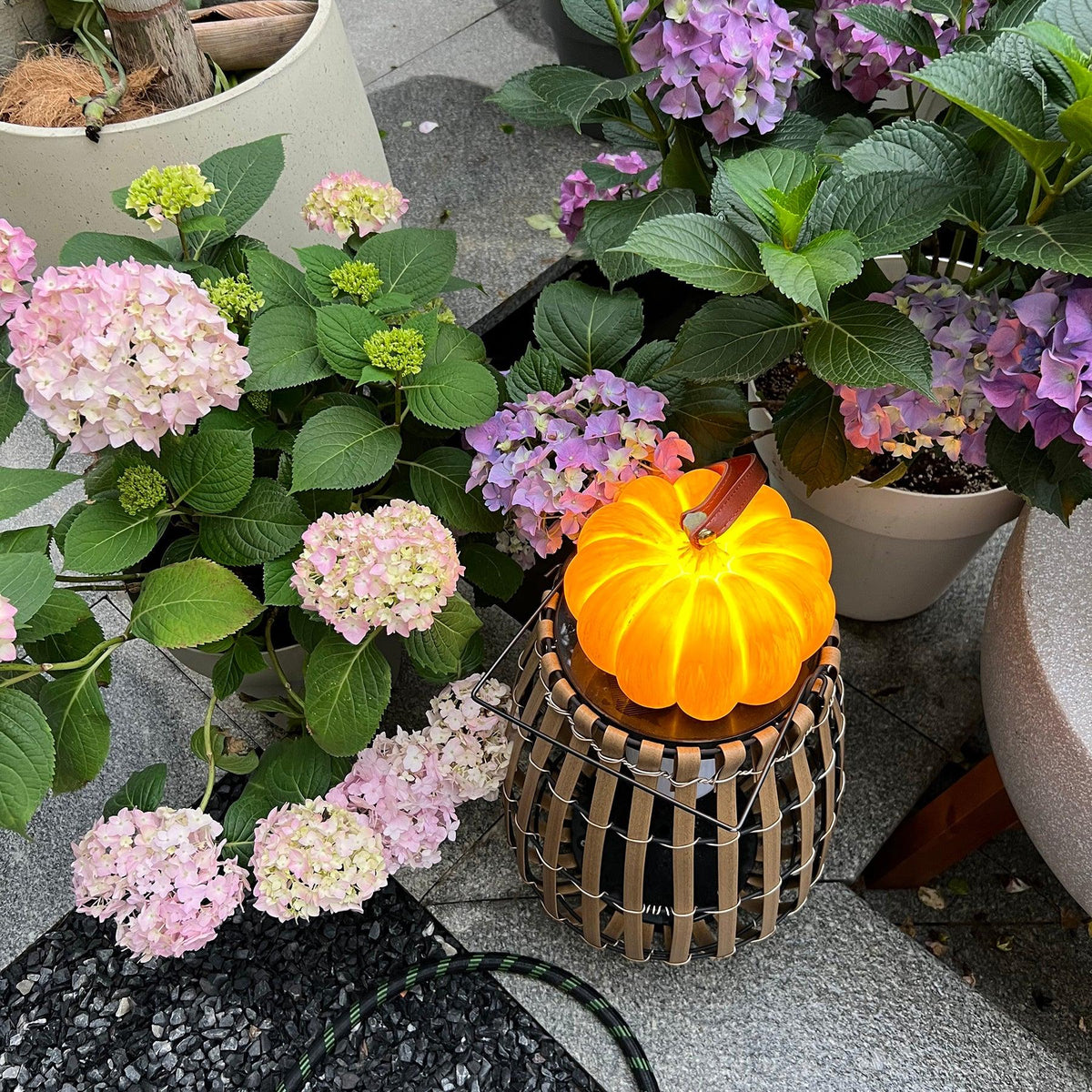 Miriaya Lampe de Table