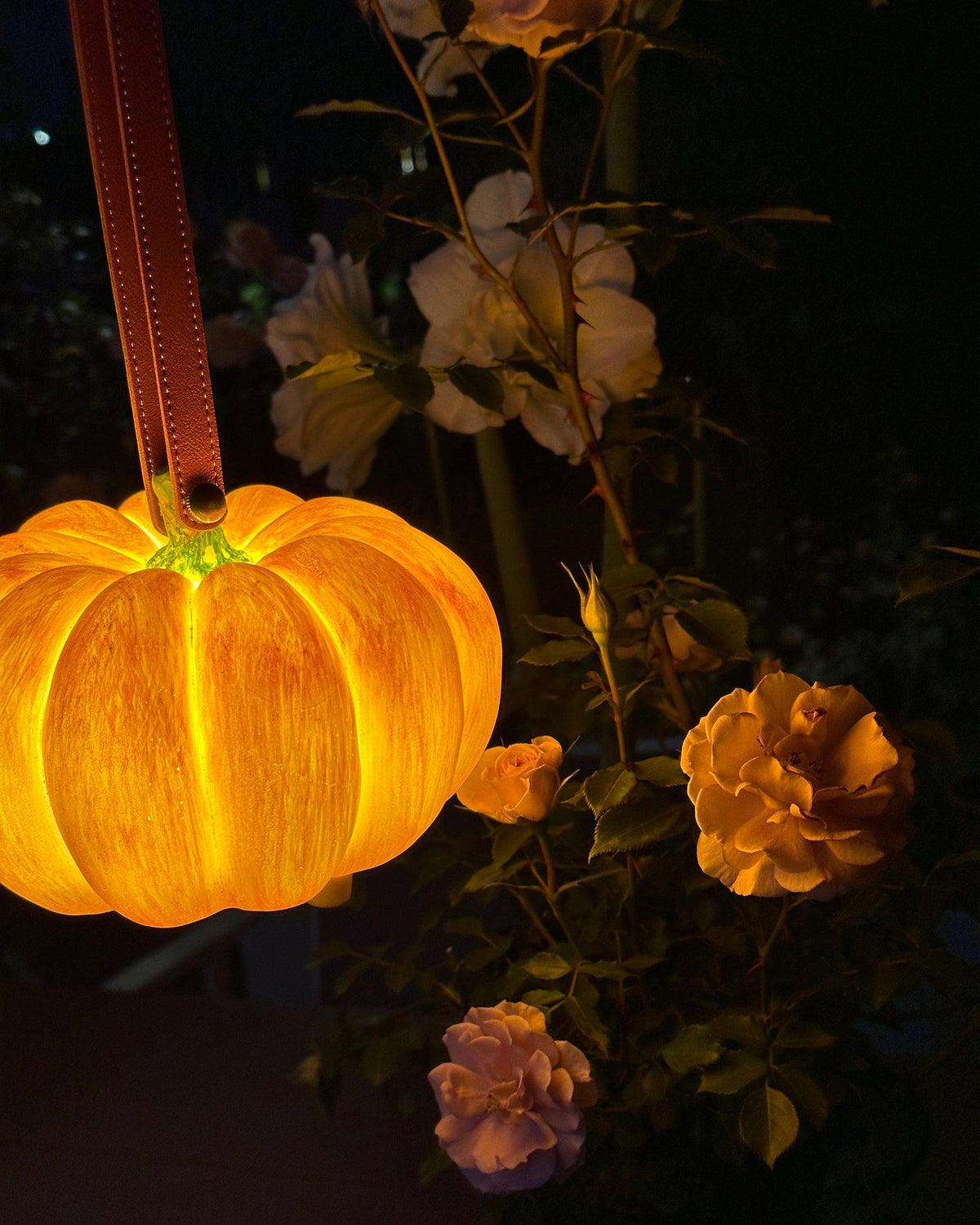 Miriaya Lampe de Table