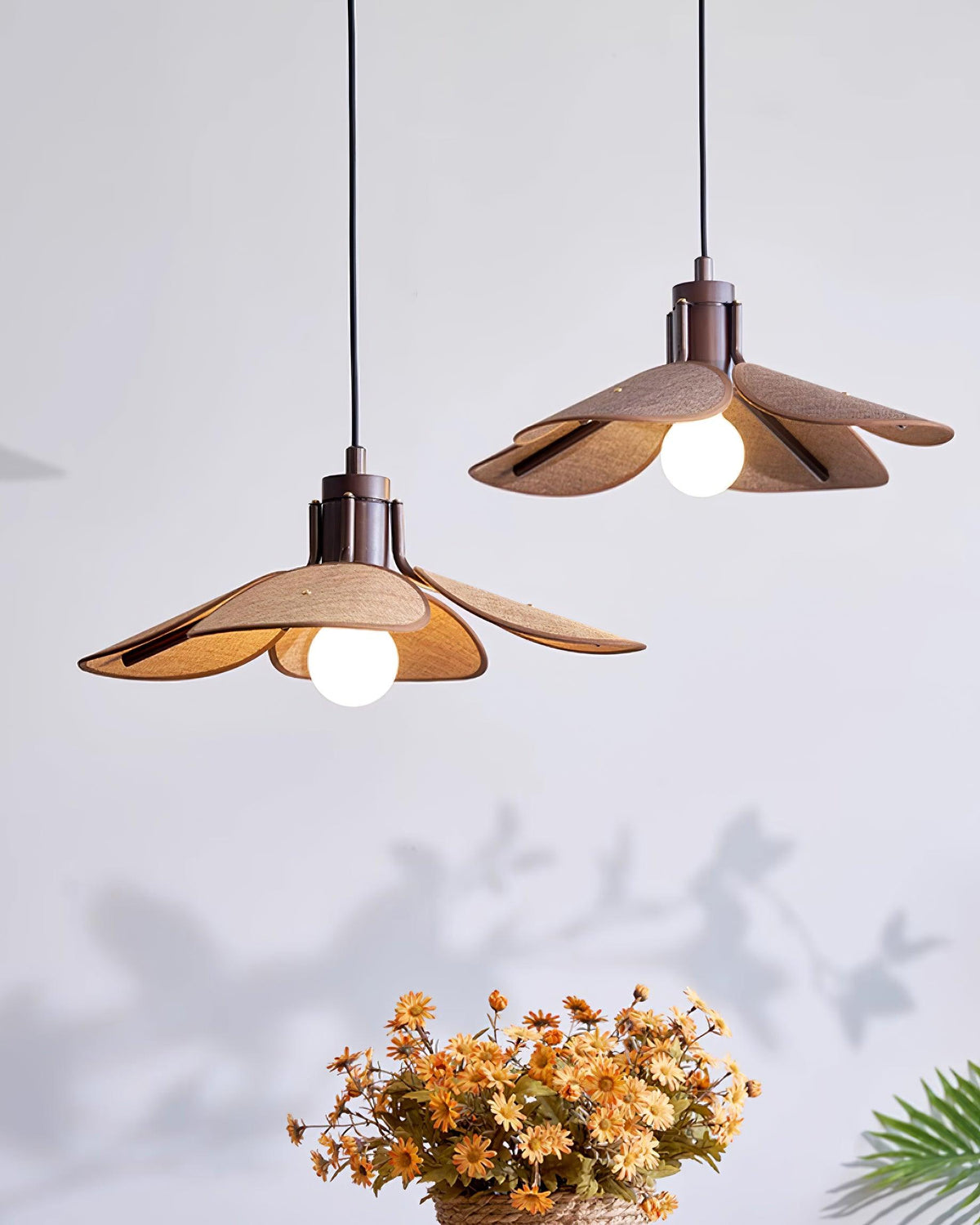 Polli Suspension