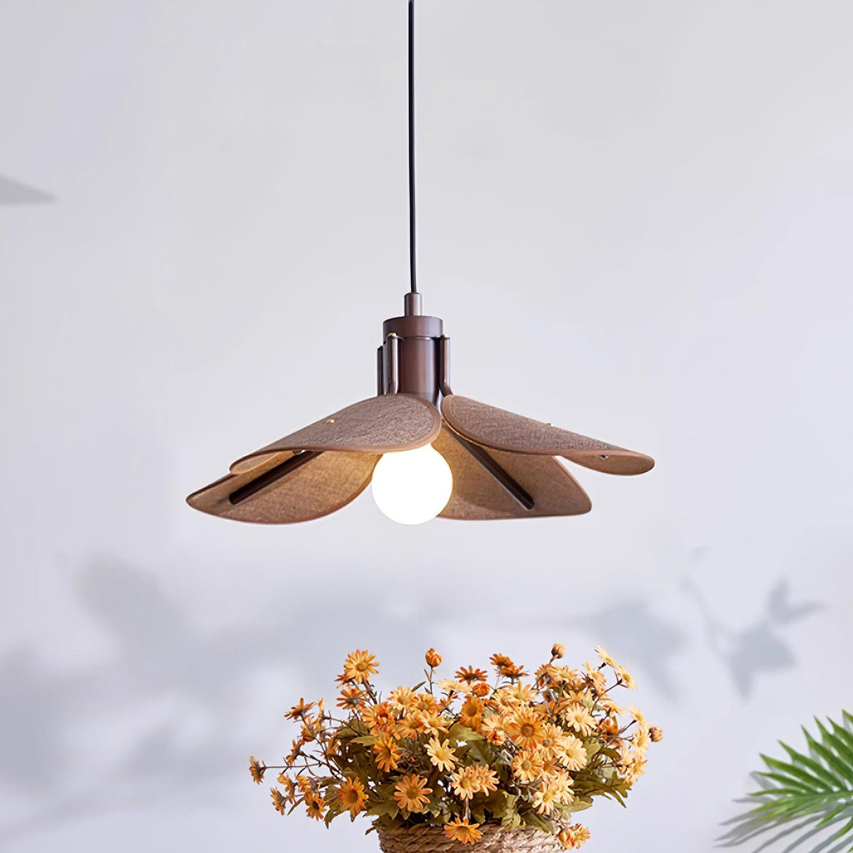 Polli Suspension