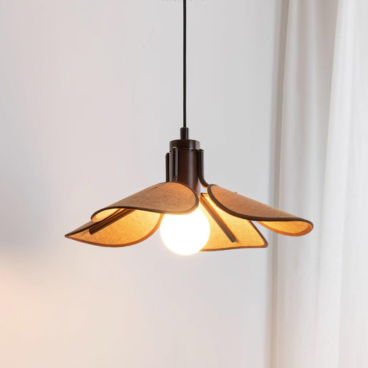 Polli Suspension