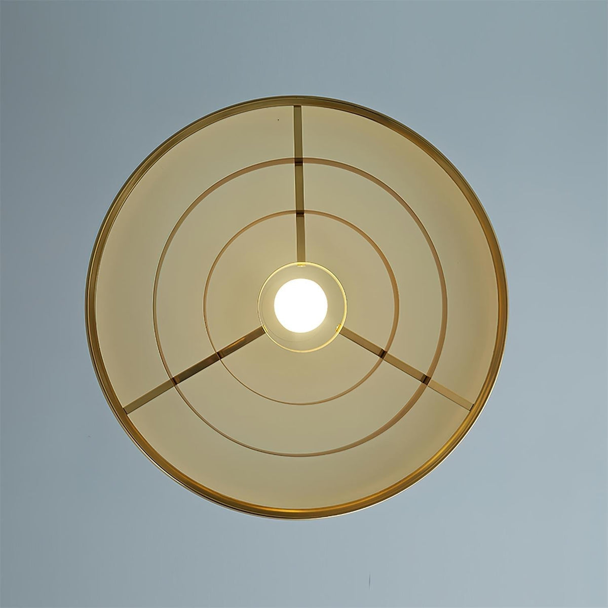 Renenette Suspension