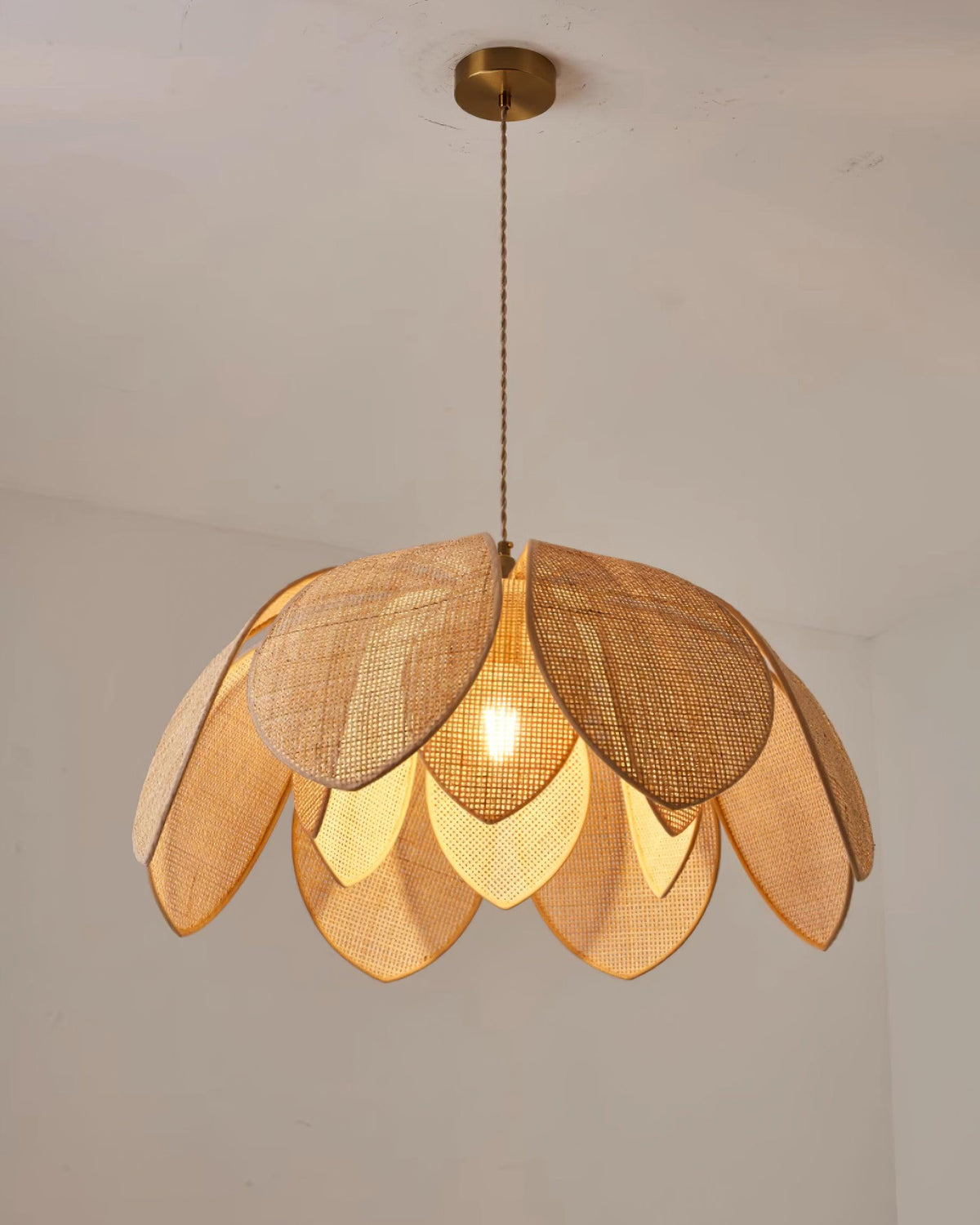 Calalia Suspension
