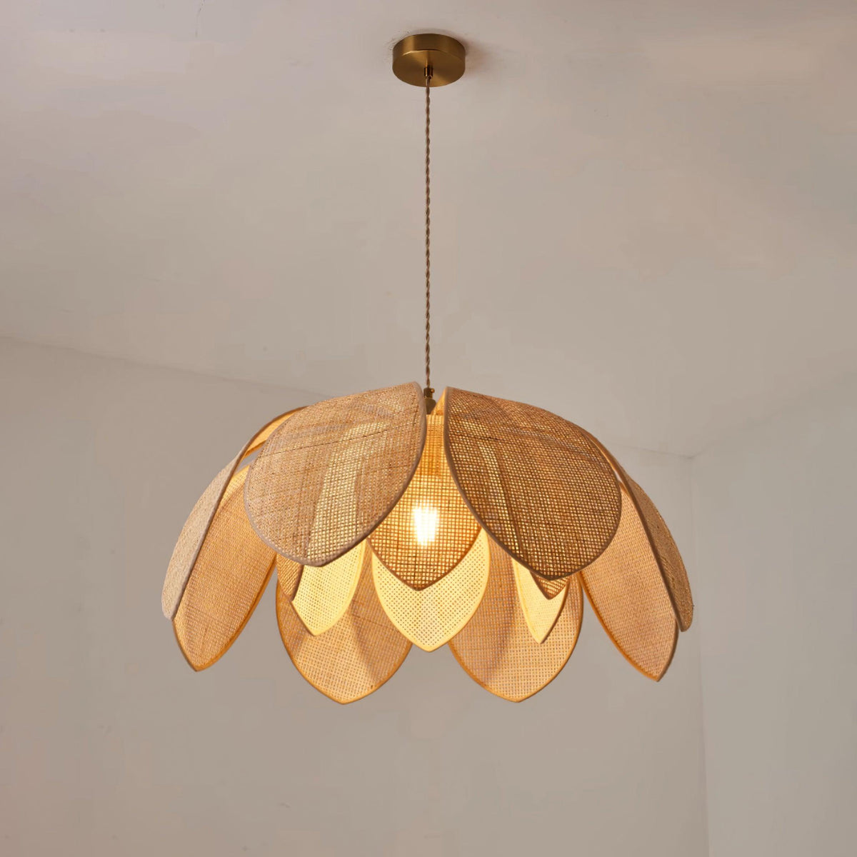 Calalia Suspension