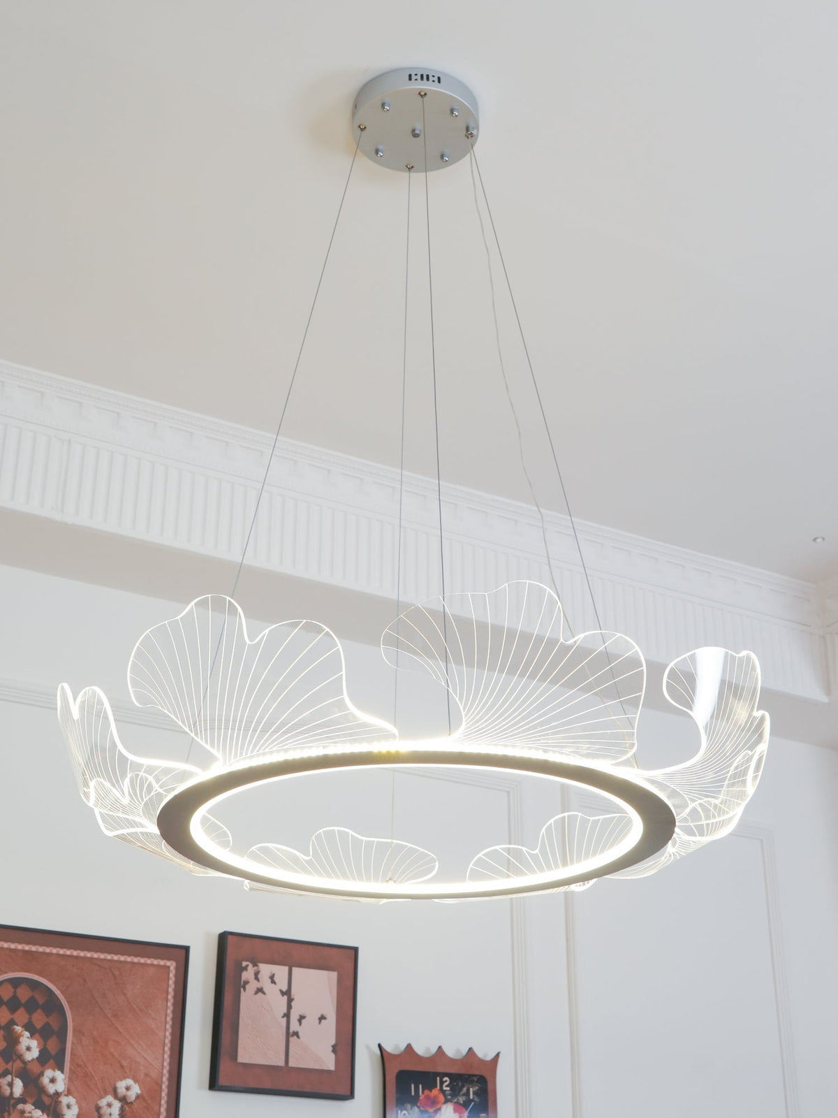 Darenessa Suspension en Acrylique Givré Anneau Floral