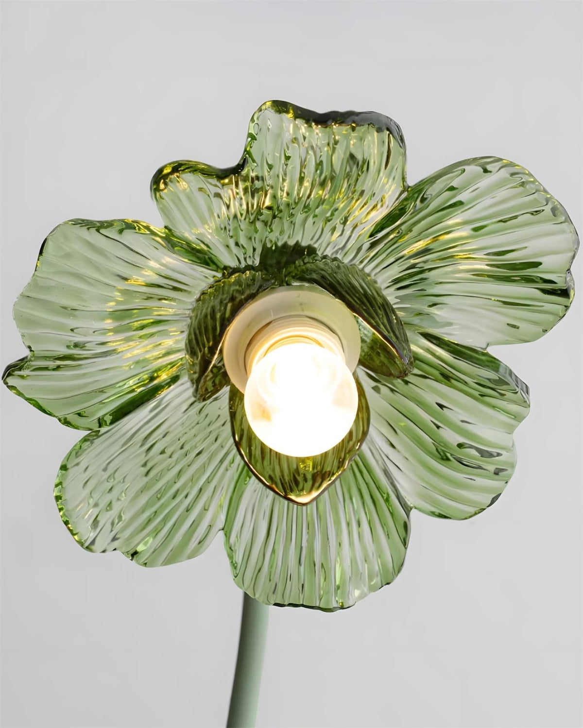 Velinella Lampe de Table