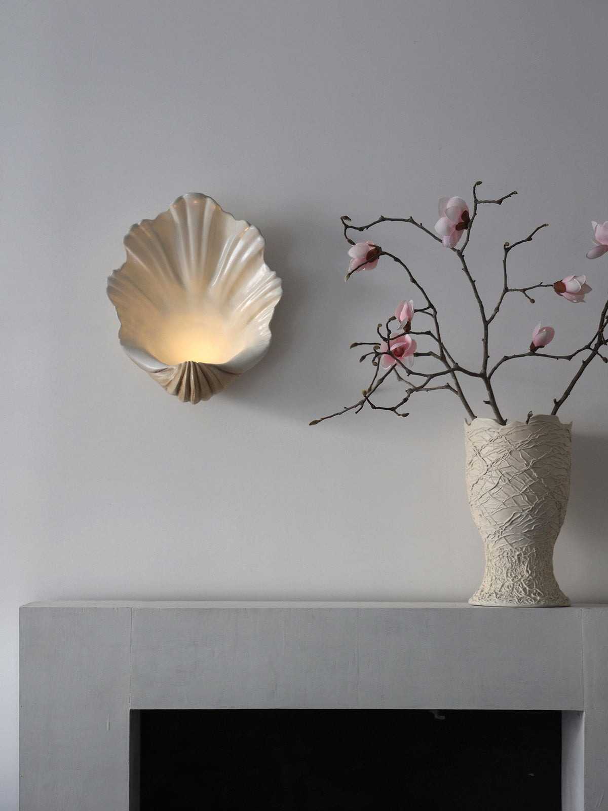 Shell Wall Sconce-Neutral Decor