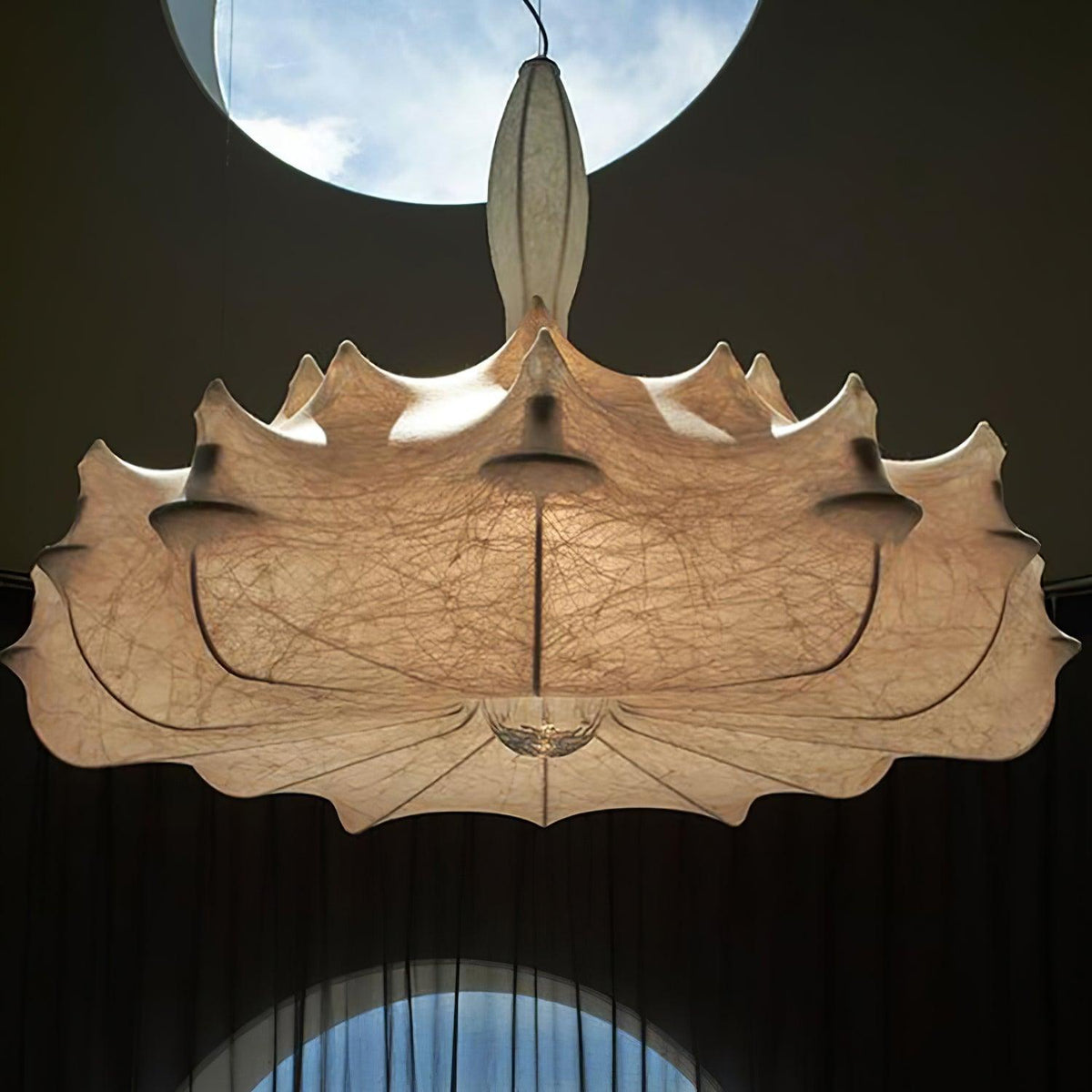 Noralette Suspension