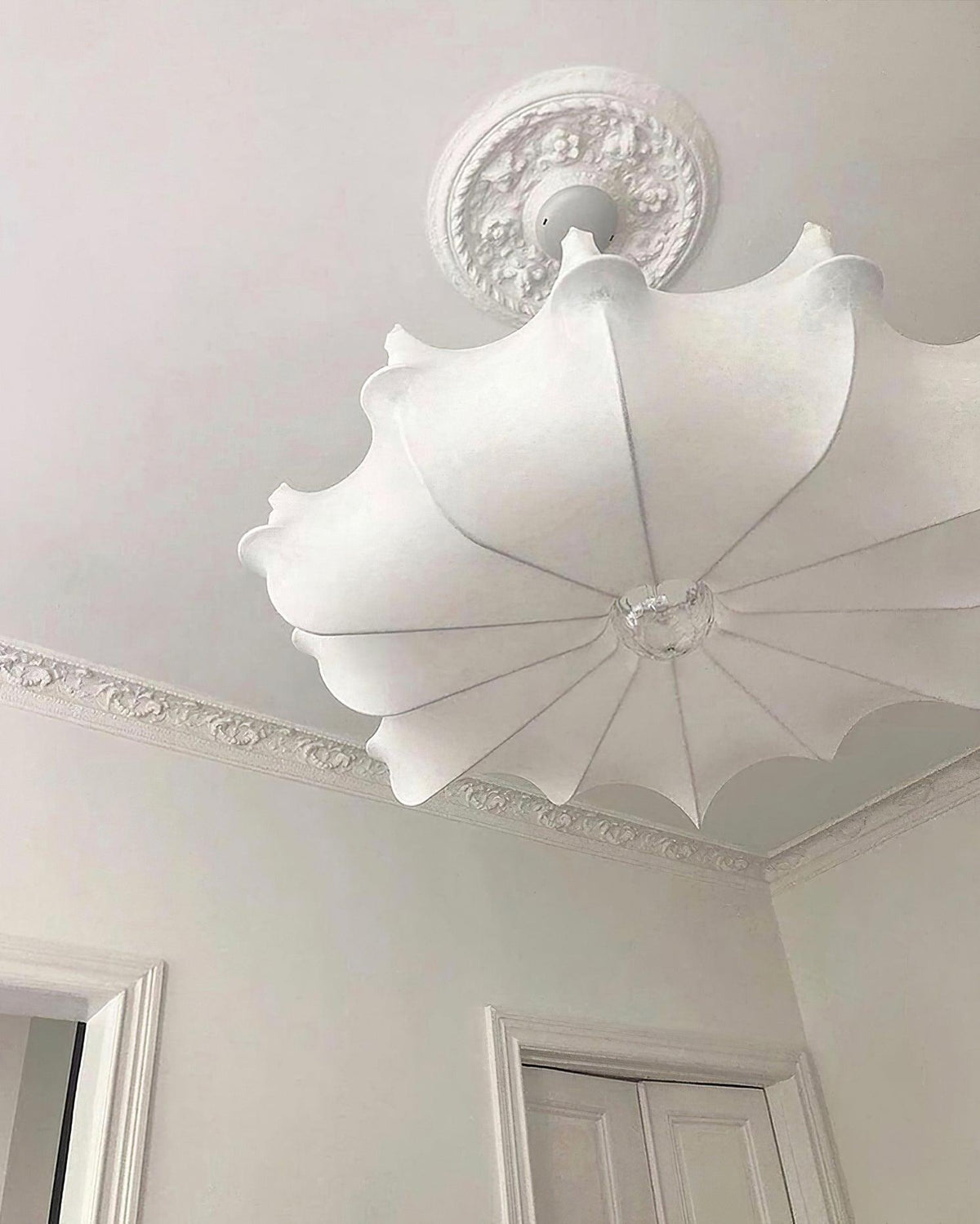 Noralette Suspension