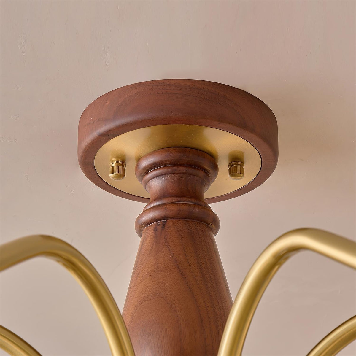 Orelerira Lustre