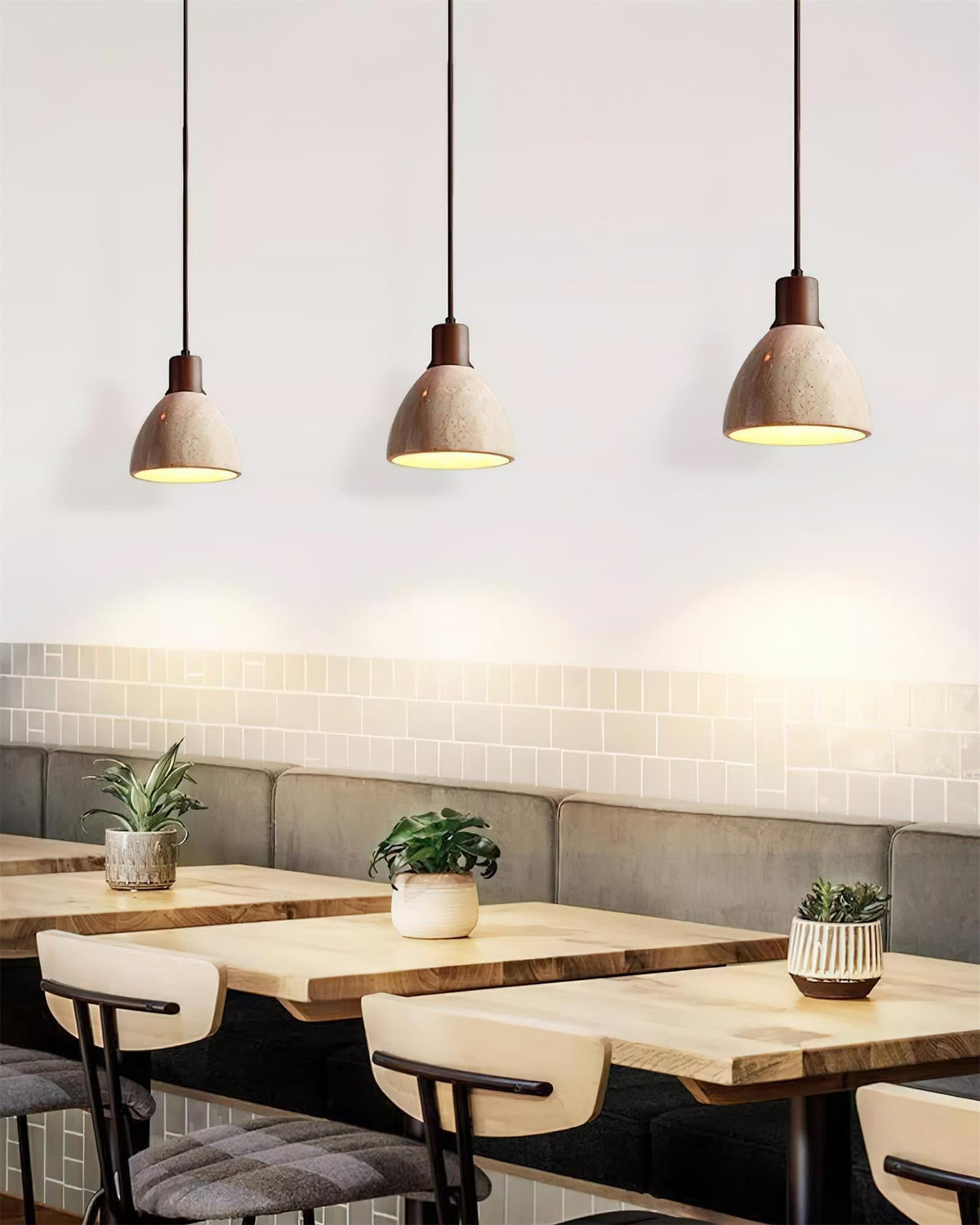 Edrien Suspension
