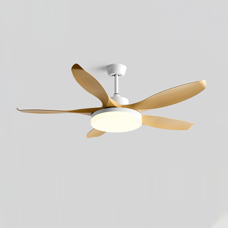 Liororeria Ventilateur de Plafond avec Éclairage