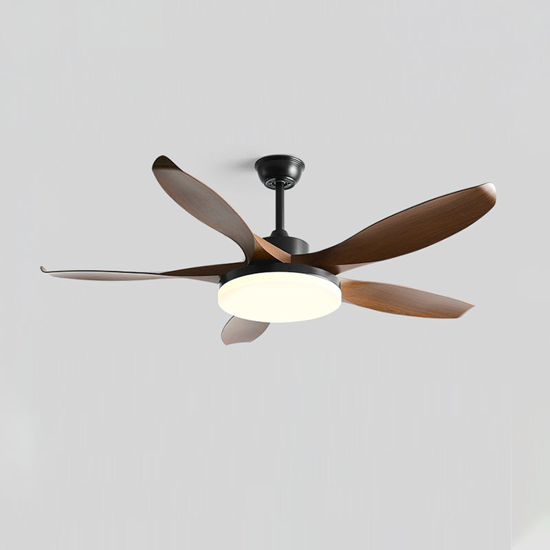 Liororeria Ventilateur de Plafond avec Éclairage